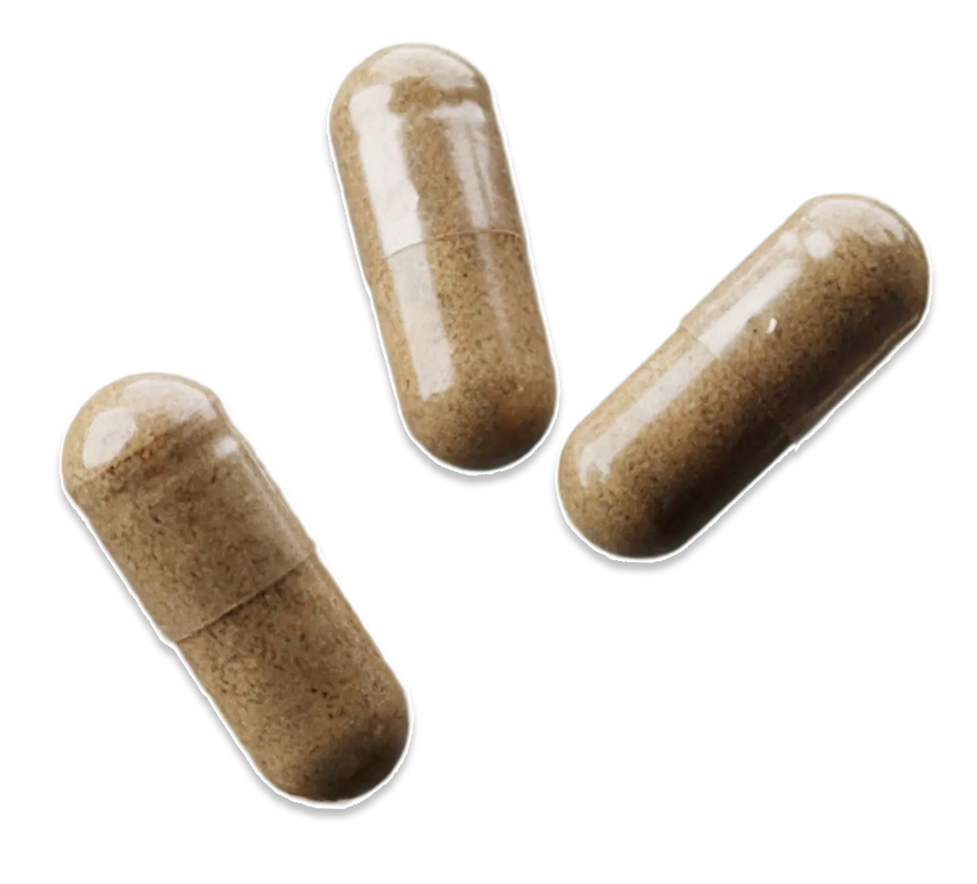 Three Drainage Enhancer organic herbal capsules — whole-food fermented botanicals.